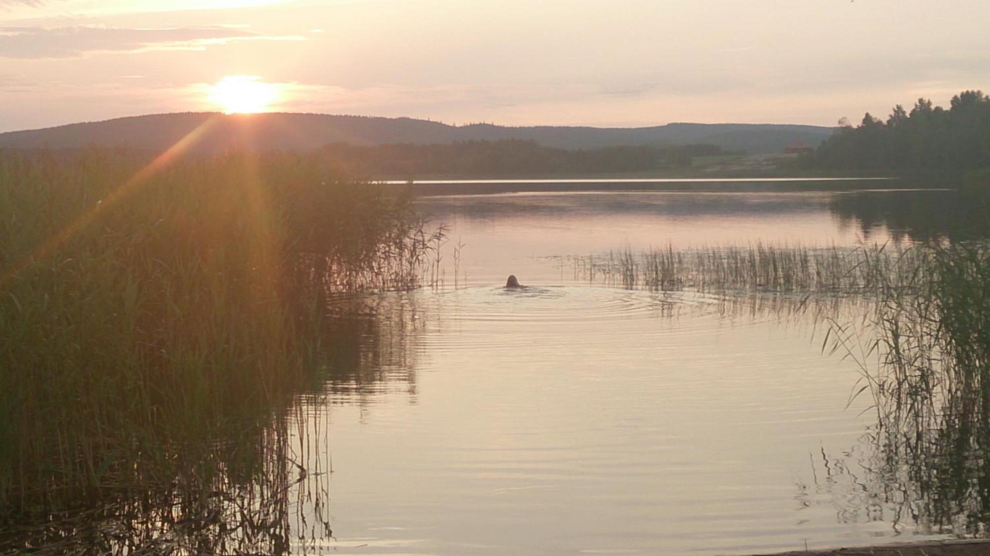 Roeda Stugan Hedemora Zewnętrze zdjęcie